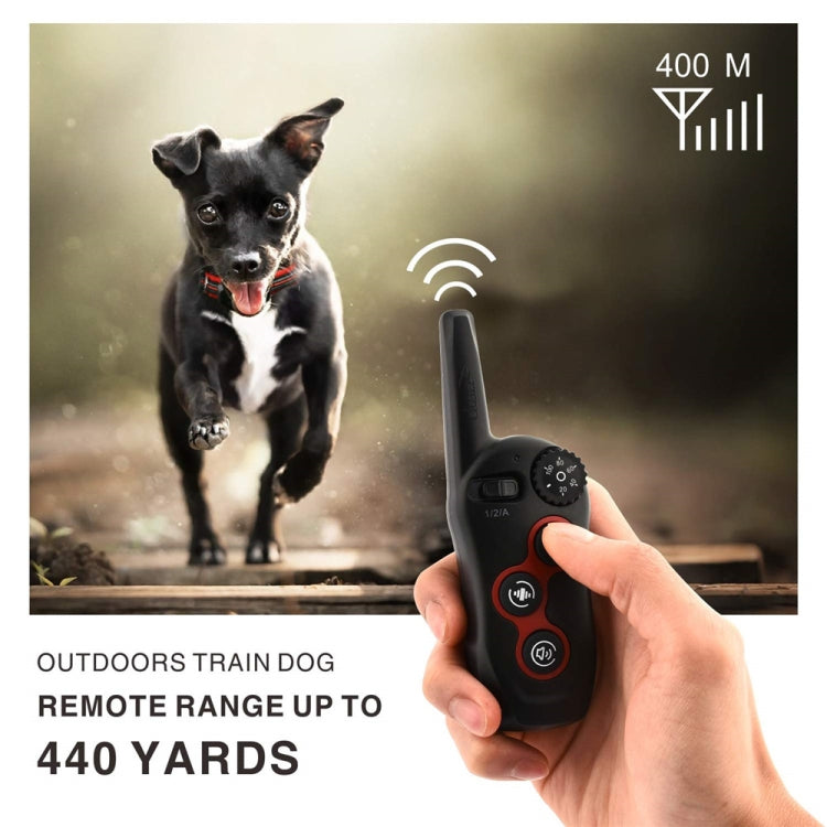 Dog wearing black training collar while a hand holds a black remote controller