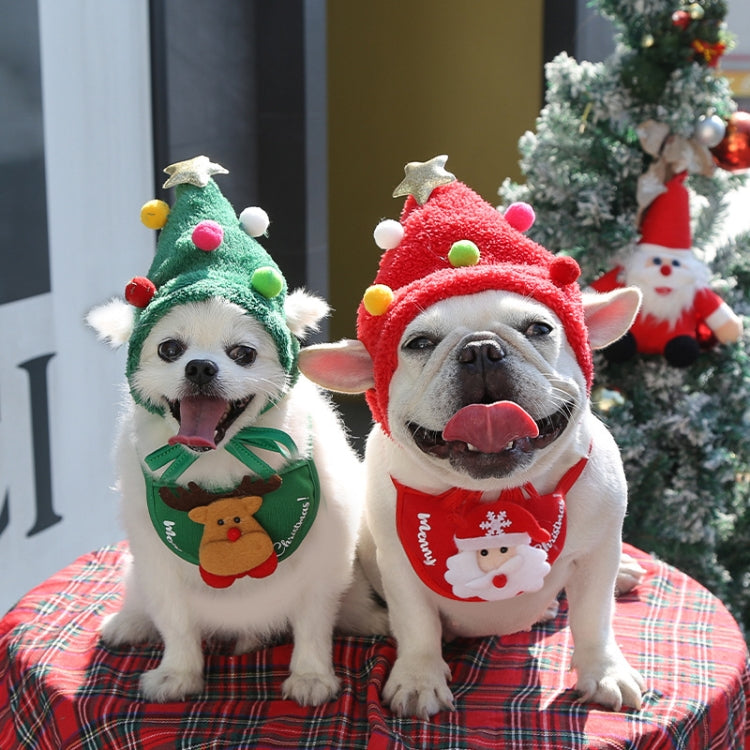 Two dogs wearing green and red Christmas pet hats on holiday plaid bedding