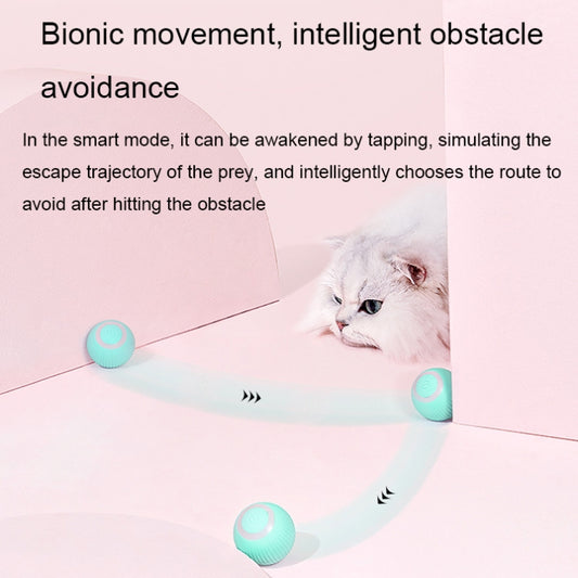 Teal rolling cat ball toy in a curved track, with light ring on top