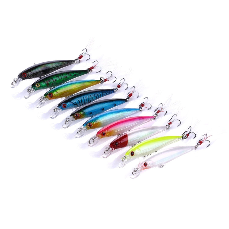 Assorted minnow fishing lures lineup with glossy bodies and treble hooks
