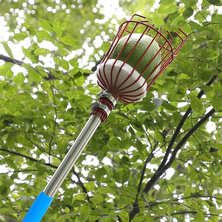 Aerial fruit picker with red wire basket on stainless telescoping rod and blue handle