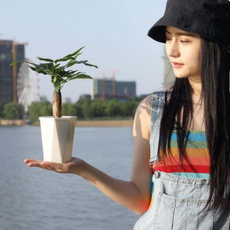 White diamond-shaped plastic self-watering plant pot with small plant