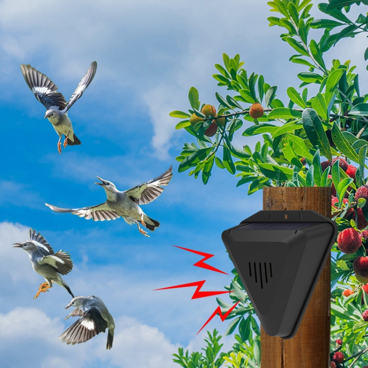 Black triangular solar bird repeller mounted on wooden stake among plants with birds.