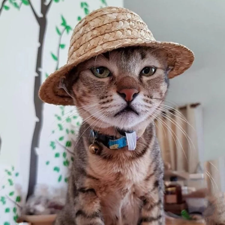 Cat wearing tan woven straw pet sun hat with chin strap and eyelet trim