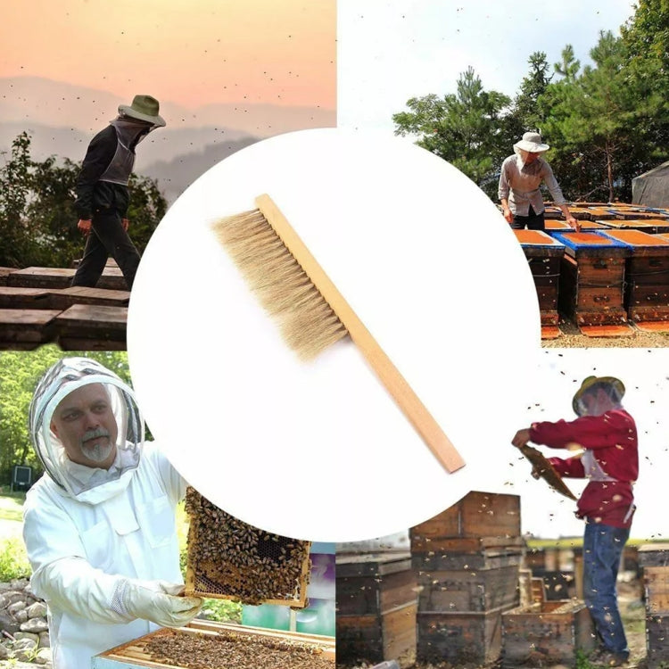 4-in-1 Anti-bee Clothing + Scraper + Bee Brush + Anti-bee Gloves Beekeeping Set