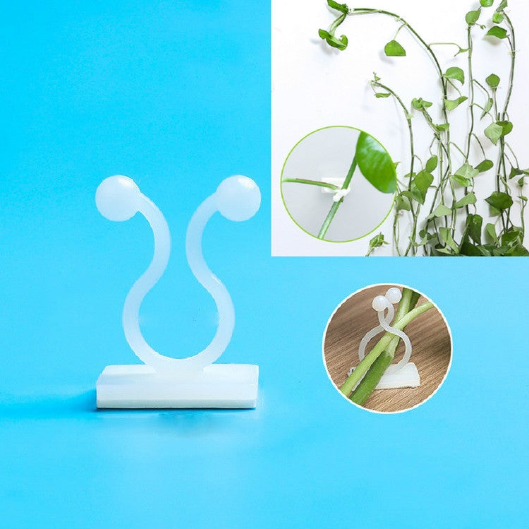 Set of white climbing wall fixer hooks with adhesive bases for securing vines