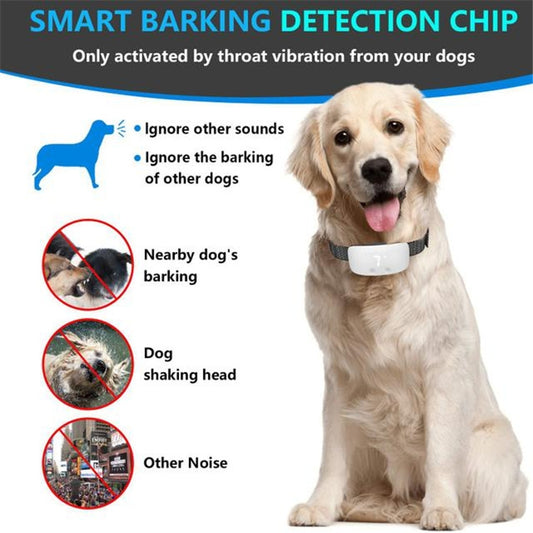 Dog bark detection training collar device with smart activation sensor for barking control