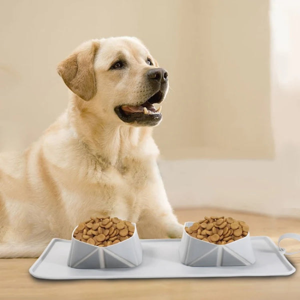 Pet Supplies
