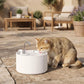 White ceramic cat water fountain with faucet, round ribbed basin, pet drinking