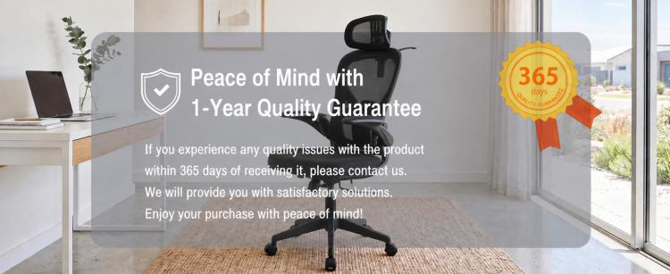 Ergonomic mesh office chair on casters with padded armrests and headrest