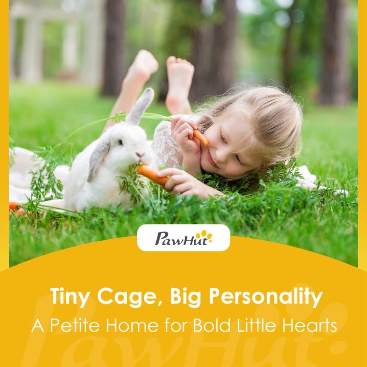 White rabbit resting on grass outdoors, PawHut branding