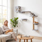 Gray cat wall shelves with covered condo, hammock perch, and tiered platforms on a stand