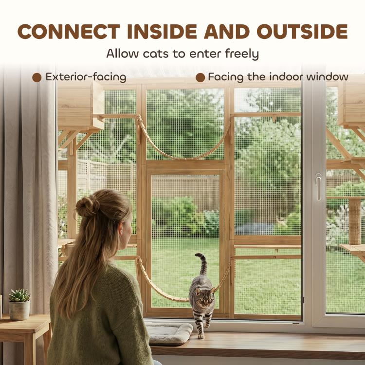Outdoor cat enclosure connect design with mesh windows and doorway access; cats indoors and out.