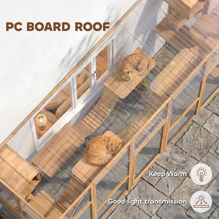 Outdoor cat enclosure with PC board roof panels; cats lounging on raised platforms.