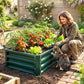 Green metal raised garden bed with slatted sides, filled with tomatoes and lettuce