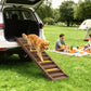 Brown dog ramp extended from open car trunk, with yellow non-slip step strips on grass