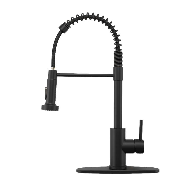 Matte black single-handle kitchen faucet with pull-down sprayer and coiled hose.
