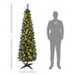 7 ft slim pre-lit artificial pencil Christmas tree with warm white LEDs and star base