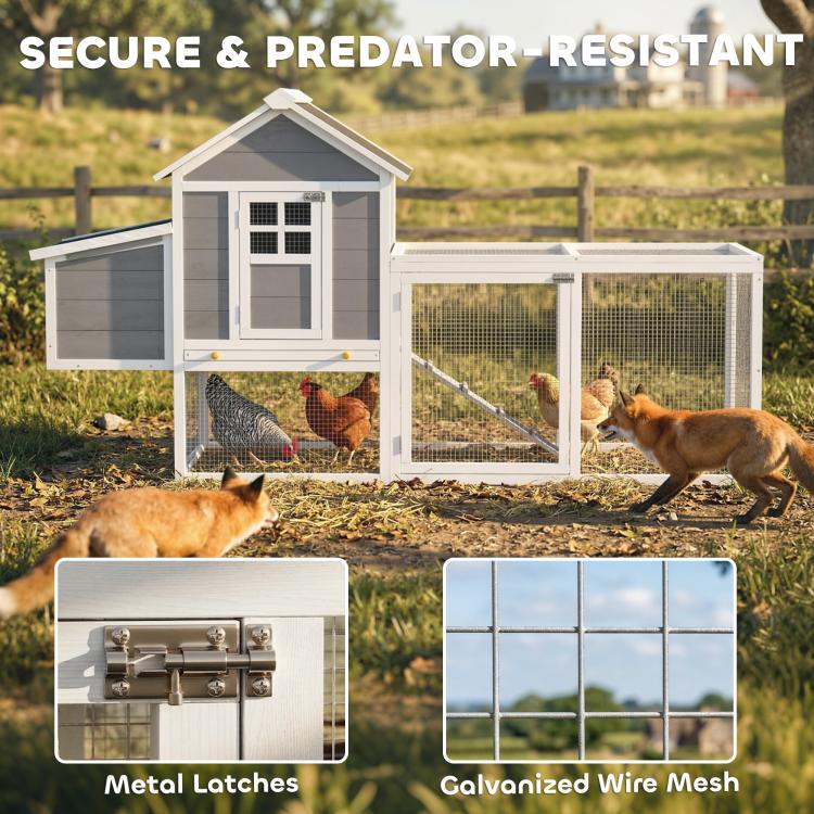 Chicken coop with wire mesh run and secure door, with latches detail inset