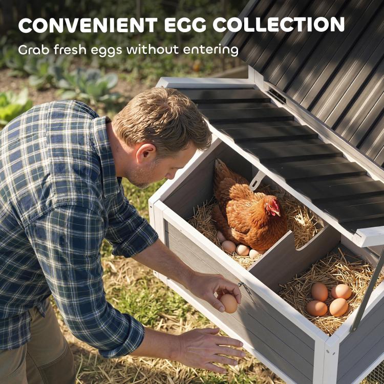 Person collecting eggs from the hinged nesting box of a wooden chicken coop