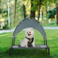 Gray elevated pet cot with removable canopy, shown with small white dog resting