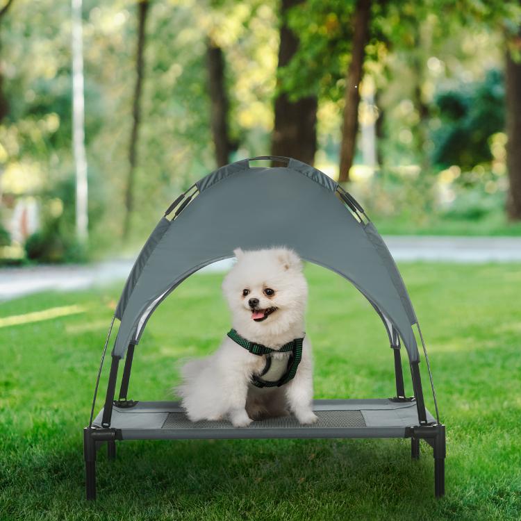 Gray elevated pet cot with removable canopy, shown with small white dog resting