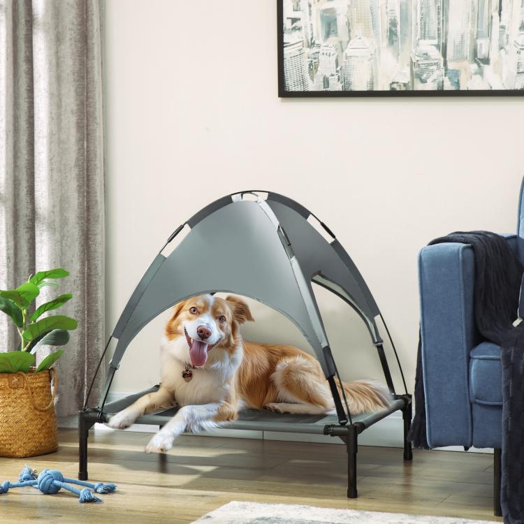 Gray elevated pet cot with removable canopy, shown with tan dog lying on bed