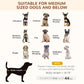 Outdoor elevated dog bed size guide for medium dogs and below
