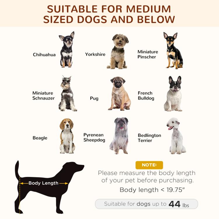 Outdoor elevated dog bed size guide for medium dogs and below