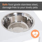 Close-up of stainless steel dog bowl insert on a white elevated feeder stand