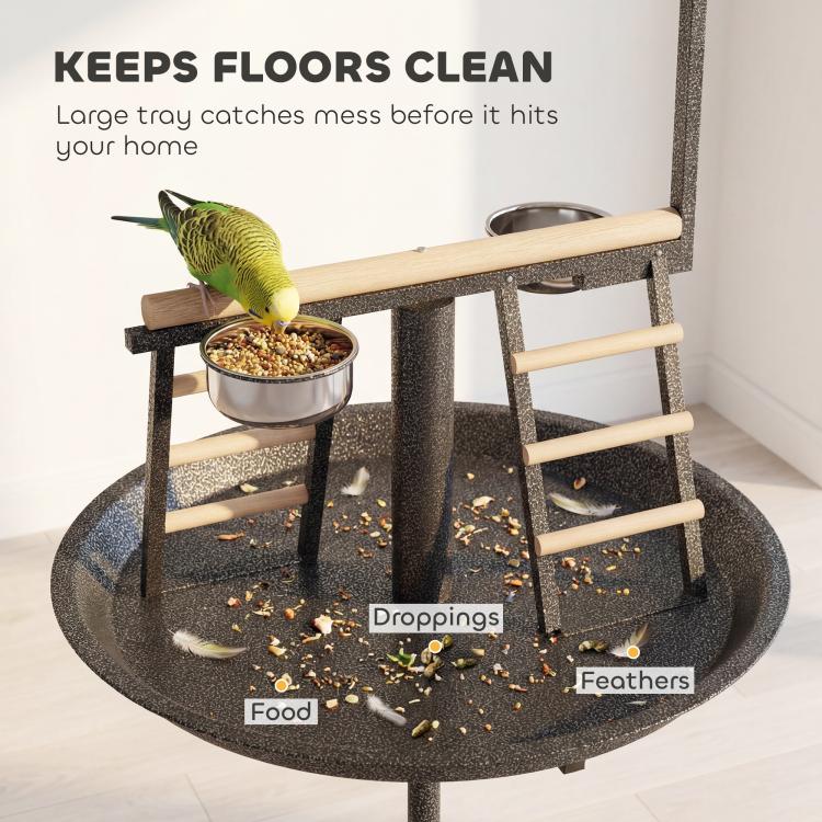 Bird play stand with large circular tray and stainless feed bowl on wooden perch