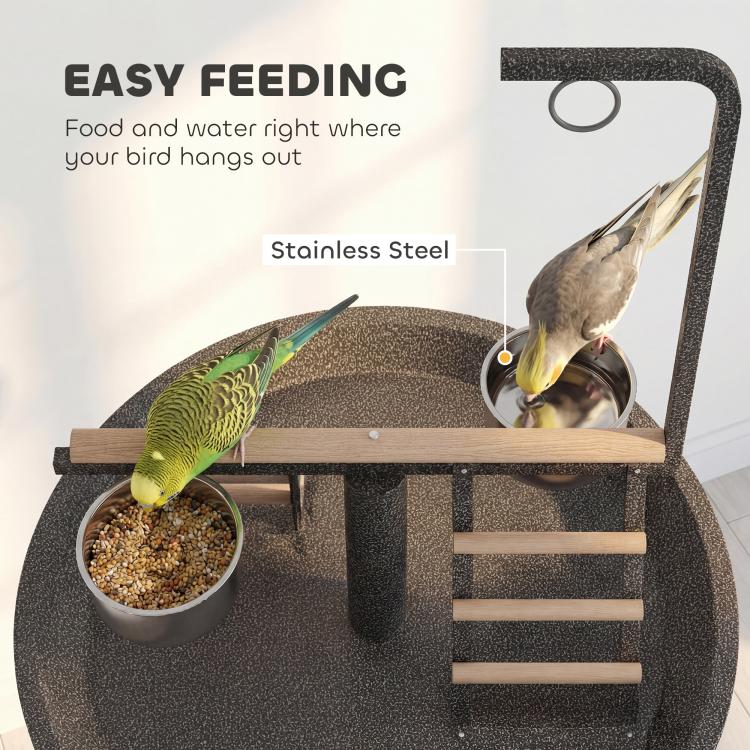 Stainless steel feed bowls on bird play stand round tray with wood perch