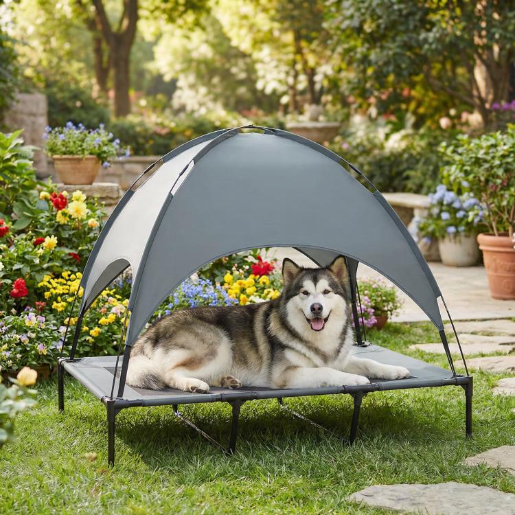 Elevated dog cot with canopy shade and breathable mesh bed, dark gray