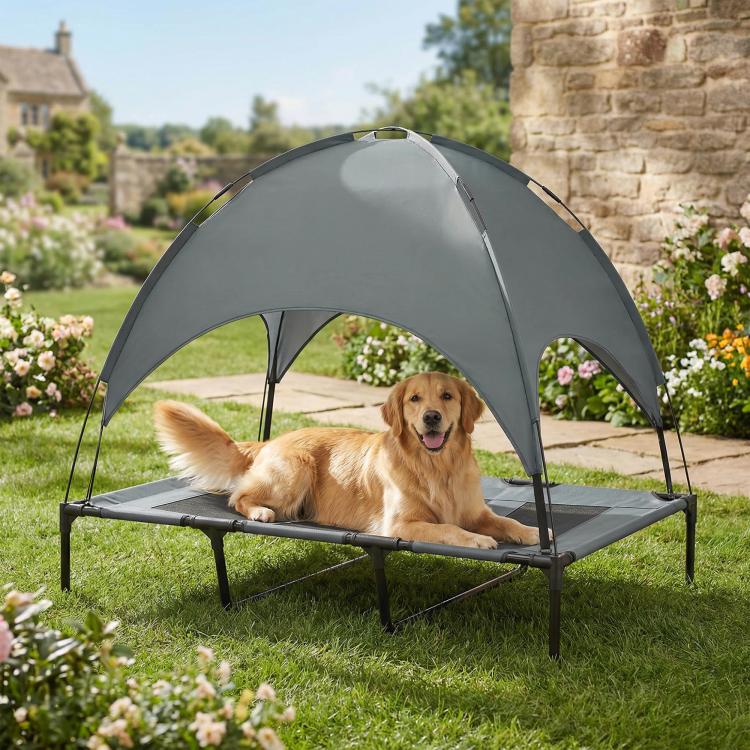 Elevated dog cot with canopy over gray mesh sleeping pad on a sturdy frame
