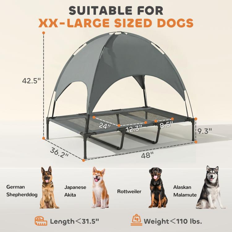 Portable elevated dog cot with full canopy and mesh platform for large dogs