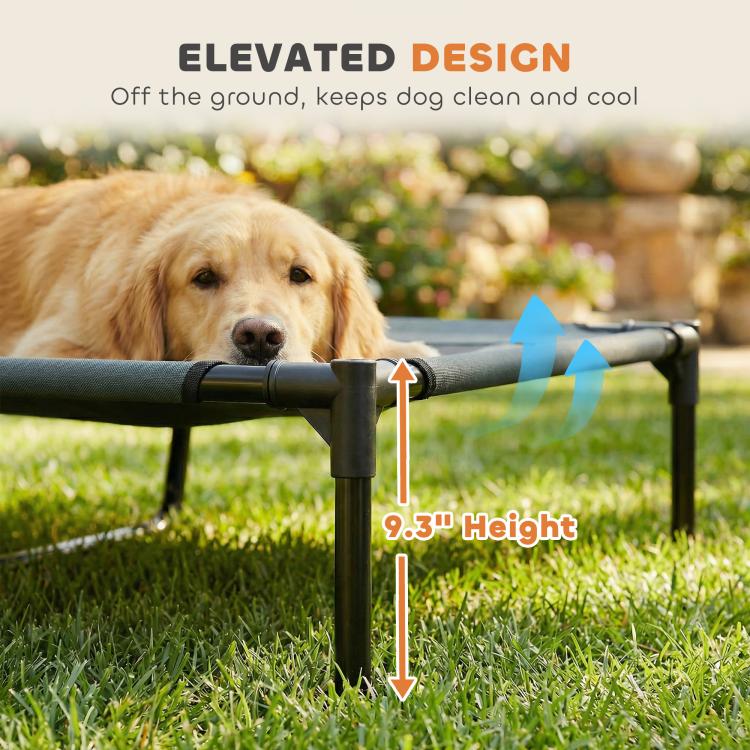 Elevated dog cot with raised legs and canopy shade for off-the-ground comfort