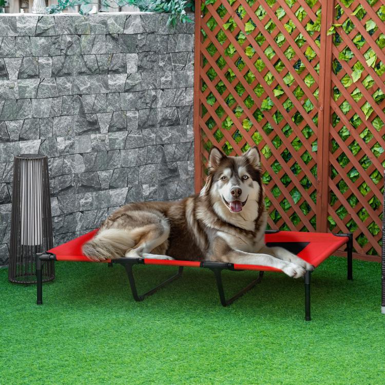 Raised red pet cot with black mesh center and metal legs, shown outdoors