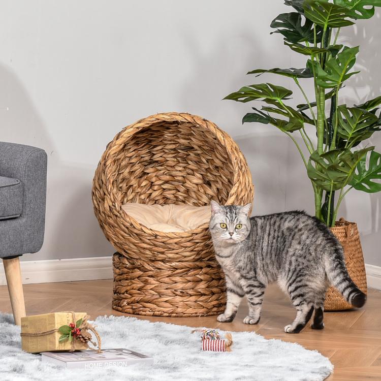 Light brown woven raised cat dome bed with soft cushion, gray tabby cat standing