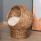 Light brown woven cat dome bed with soft white cushion and curved raised base