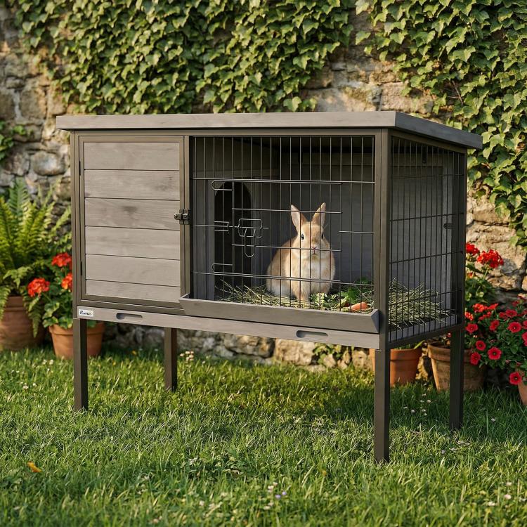 Outdoor rabbit hutch on legs with open front and wire mesh enclosure; rabbit inside