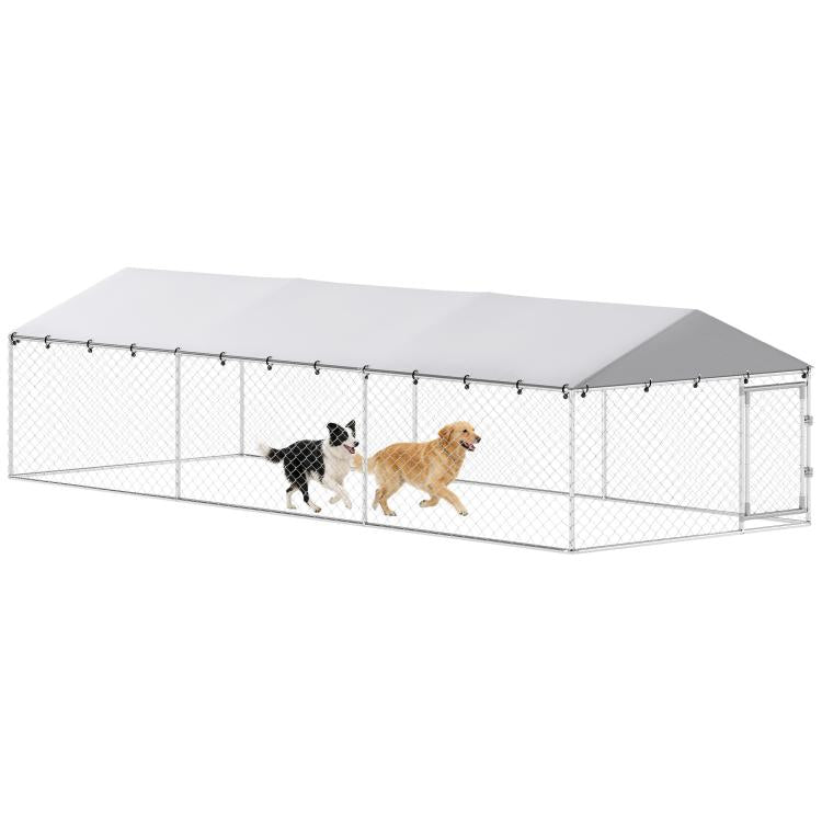 Outdoor dog kennel with silver chain-link walls, white roof, and two dogs inside