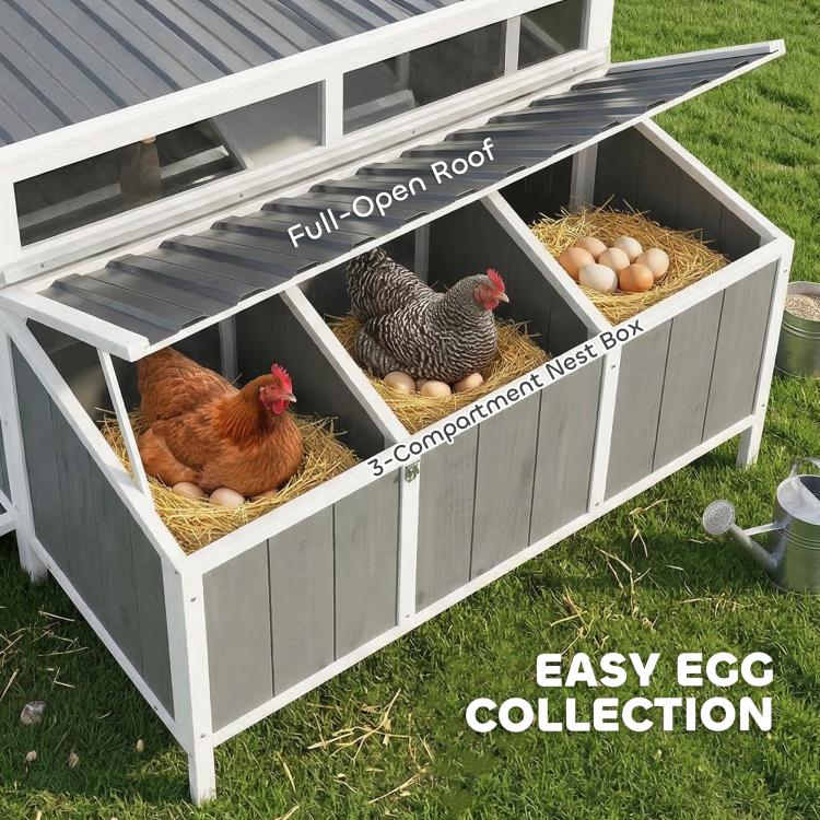 Chicken coop with full-open roof and compact nesting box for collecting eggs