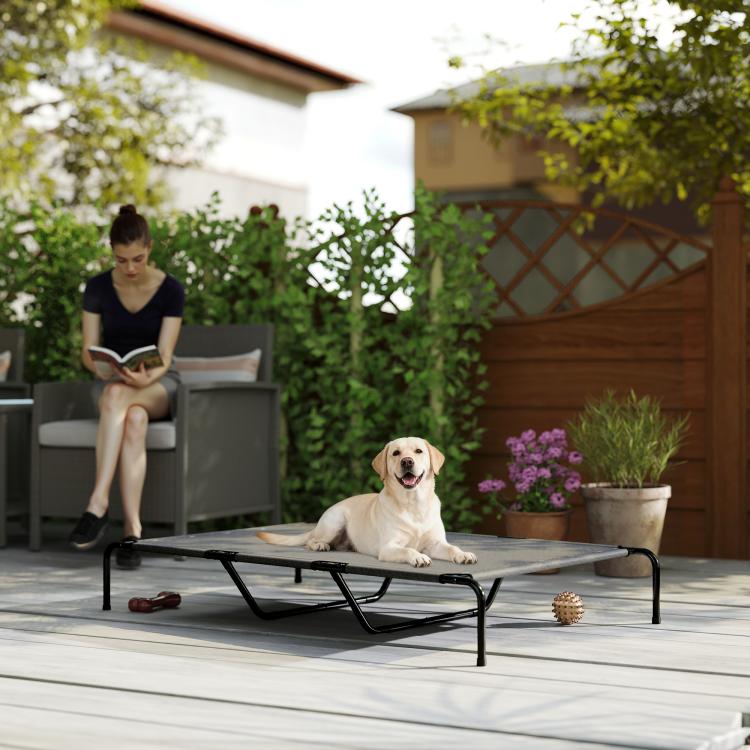 Gray elevated dog bed with black metal frame and mesh sleeping surface, with dog lying