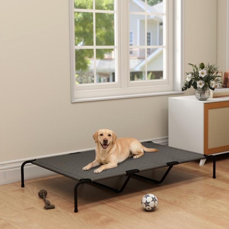 Gray elevated dog bed with black metal legs and mesh top on hardwood floor