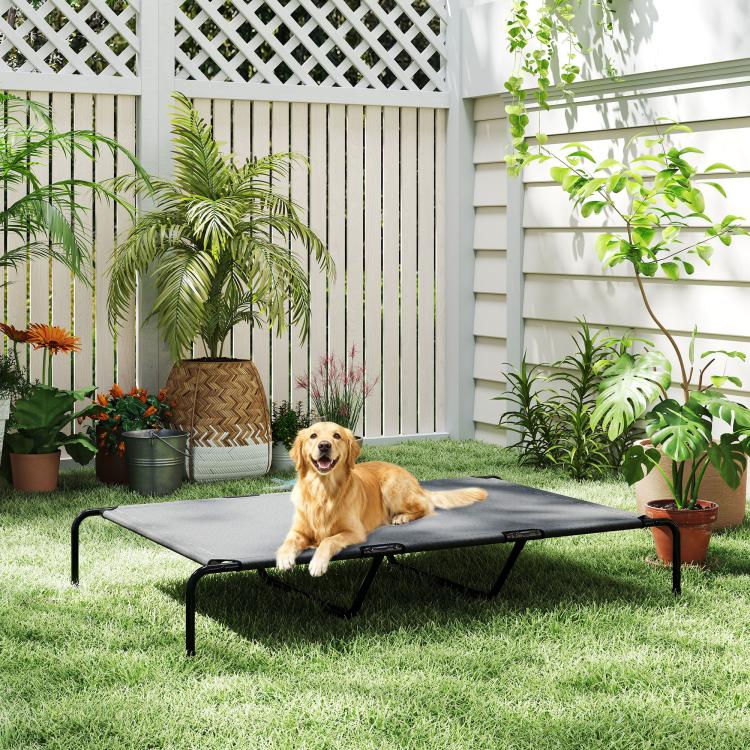 Gray elevated dog bed with black metal frame and mesh top, on outdoor grass