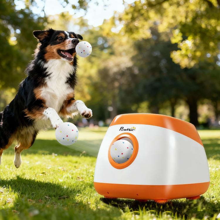 Automatic dog ball launcher with orange window and speckled balls outdoors with a dog