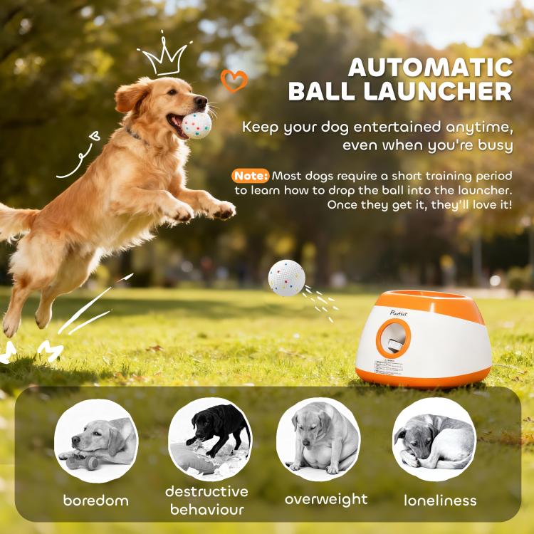 Automatic dog ball launcher with speckled balls and a dog ready to catch outdoors
