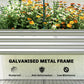 Galvanised metal frame for raised garden bed under greenhouse cover