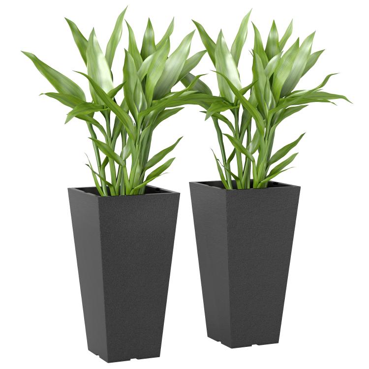 Pair of tall black plastic planters with upright green plants and textured sides