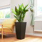 Tall black plastic planter holding green plant on indoor wooden floor